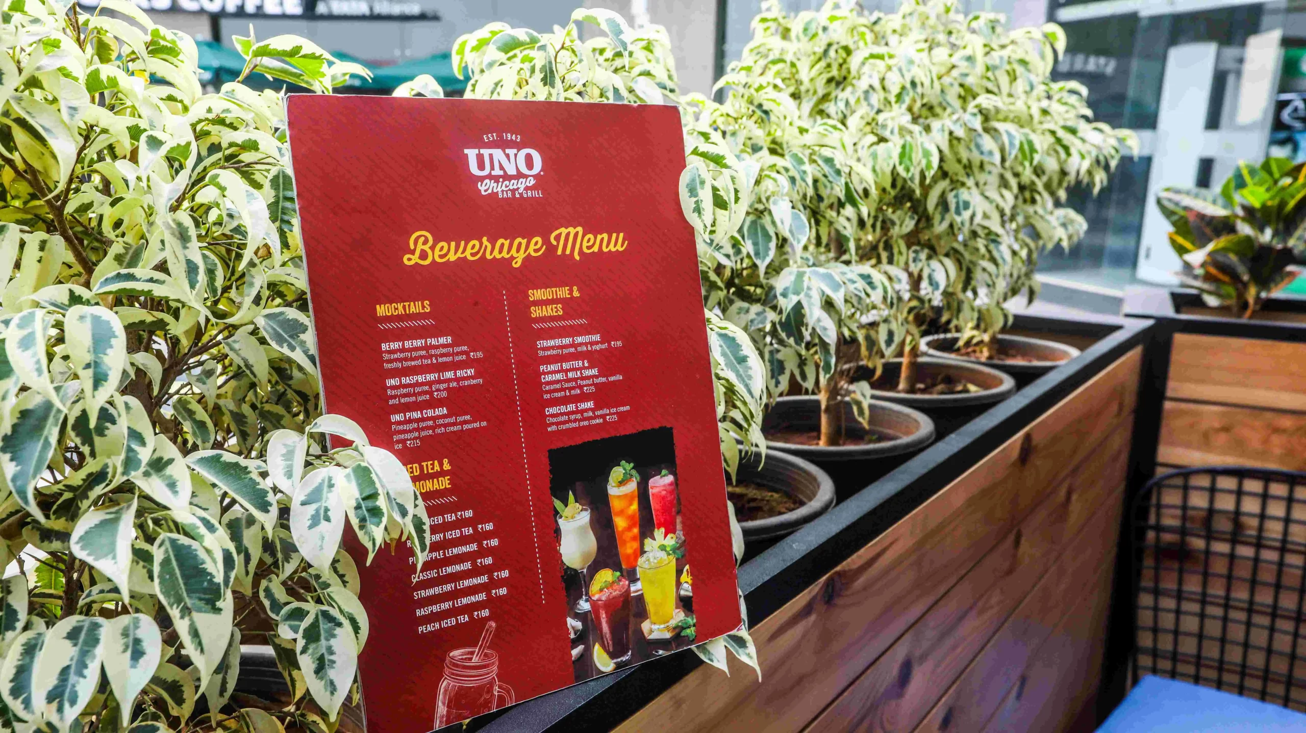 A menu is displayed on a table next to a potted plant.