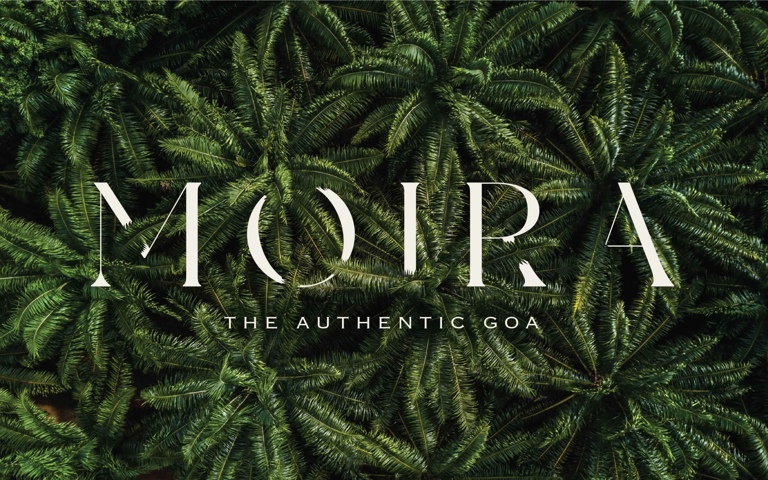 Moora - the authentic goa.
