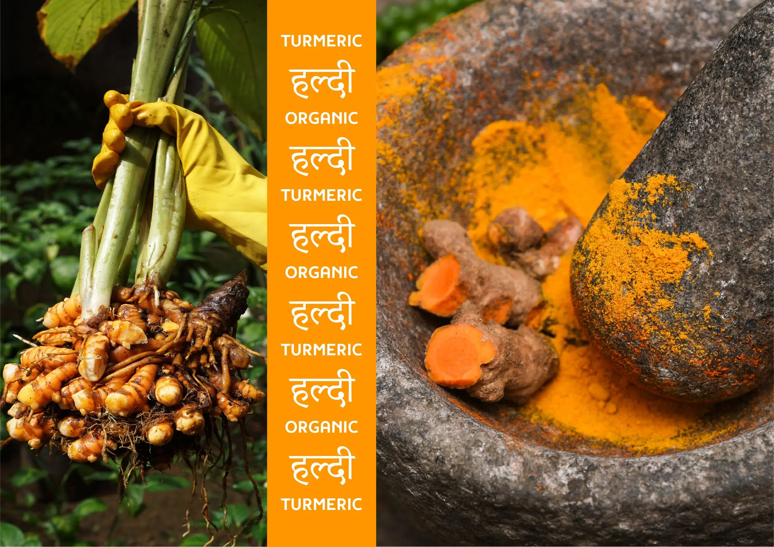 Tumeric and other spices in a mortar and pestle.