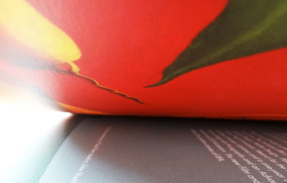 A close up of a book with a red flower on it.