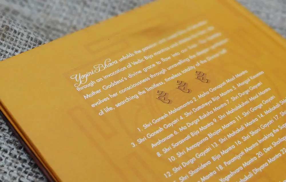A book with chinese writing on it.